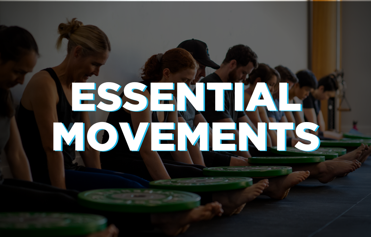 07. Essential Movements