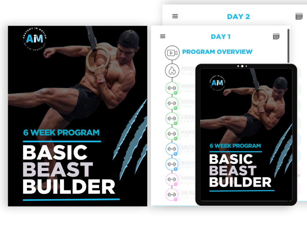 PDF download - Basic Beast Builder program - Anatomy in Motion